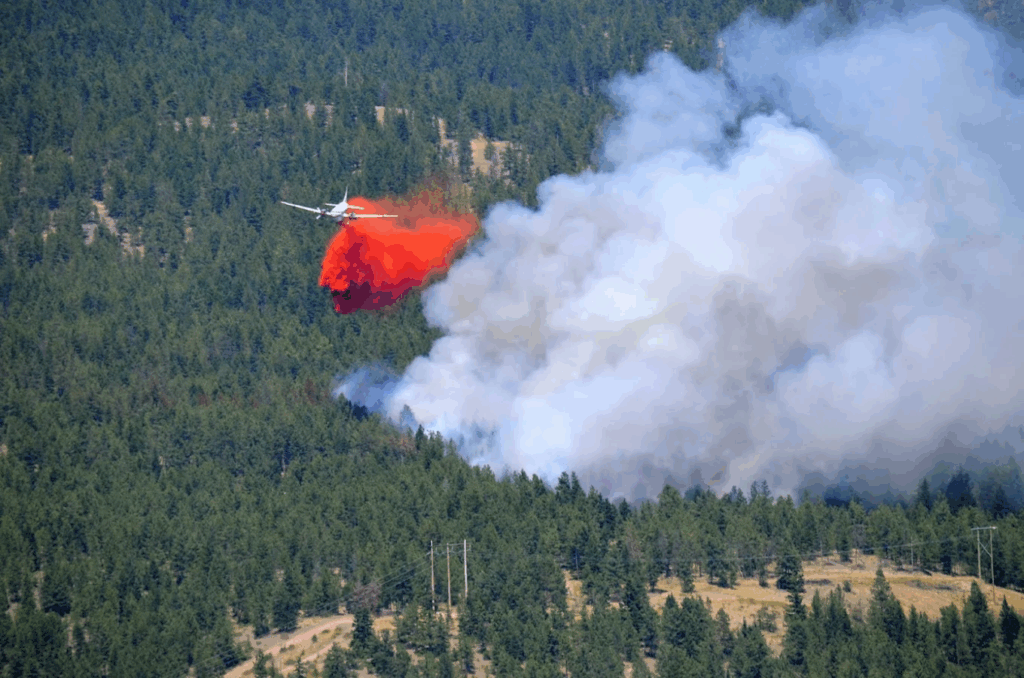 Wildfire