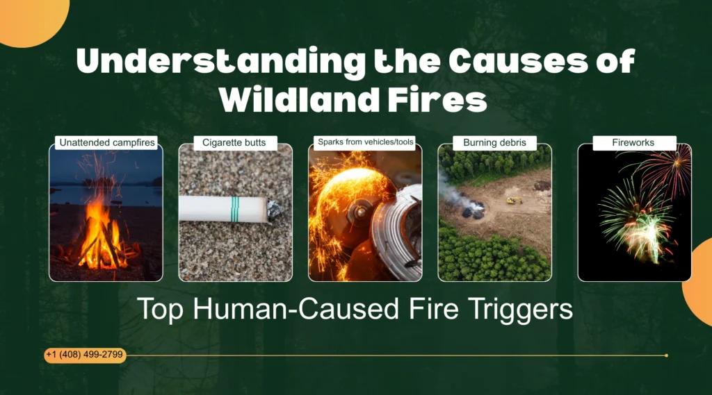 Understanding the Causes of Wildland Fires
